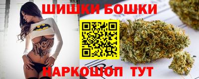 гидра Будённовск