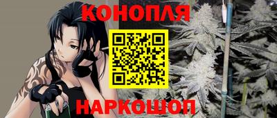 гидра Будённовск