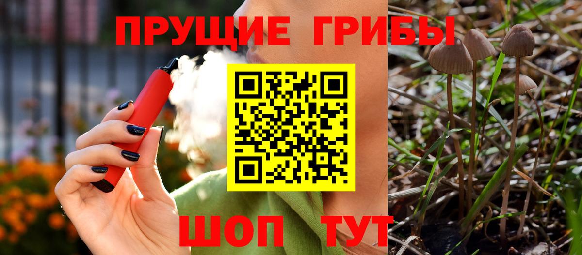 Галлюциногенные грибы Cubensis  продажа наркотиков  Озёры  Вход с VPN 